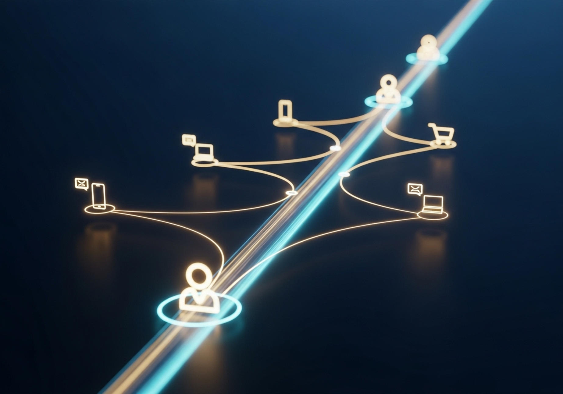 Customer First Approach Visualization